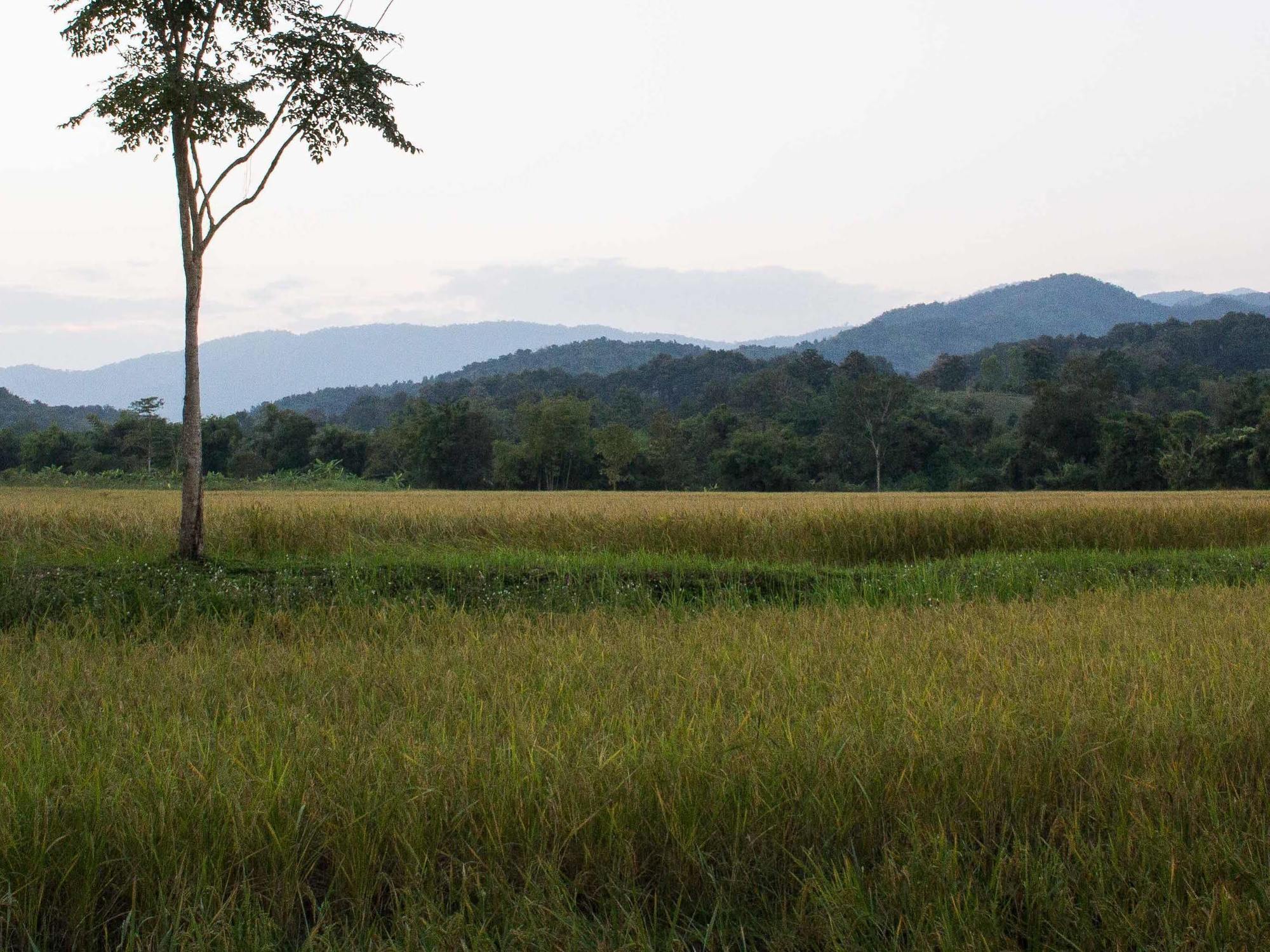 Bambuh Boutique Homestay (Adults Only) Chiang Rai Extérieur photo
