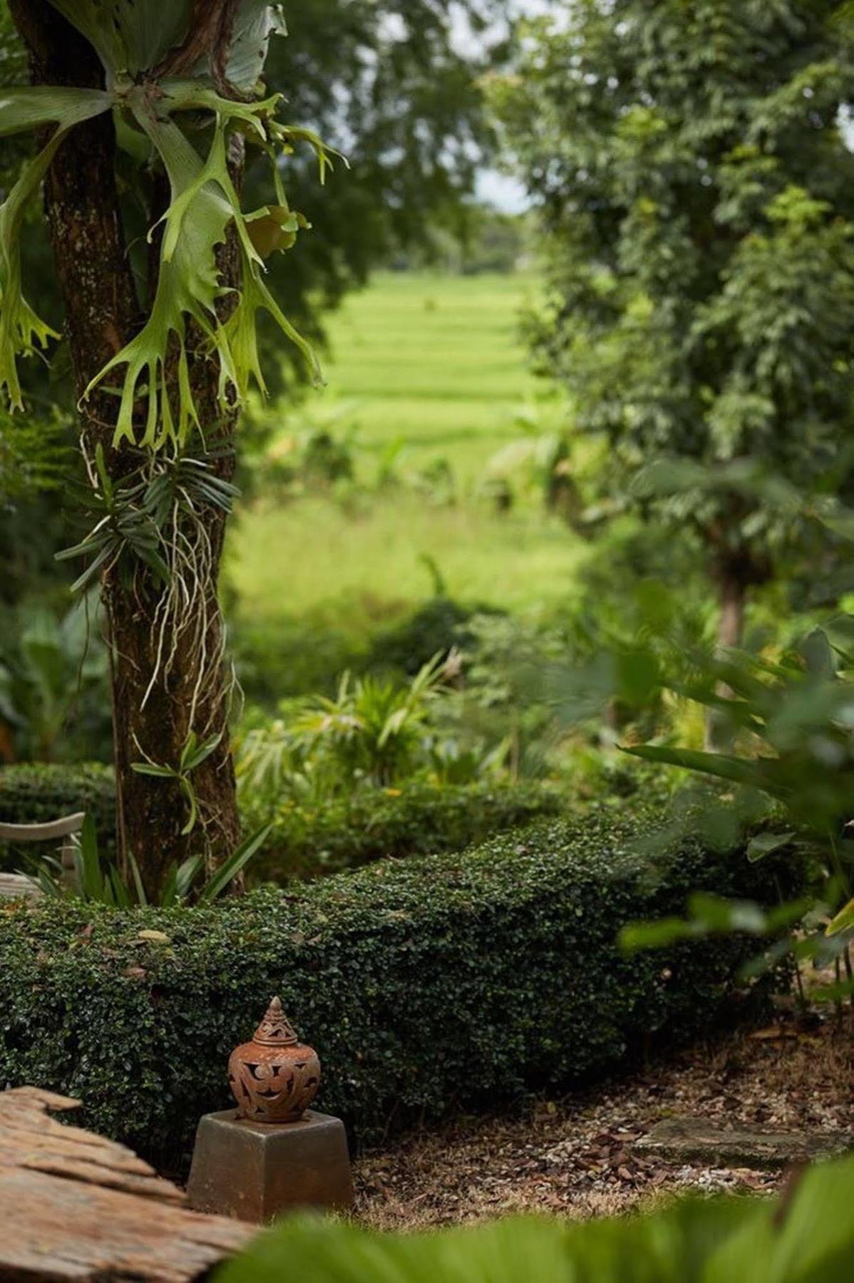Bambuh Boutique Homestay (Adults Only) Chiang Rai Extérieur photo